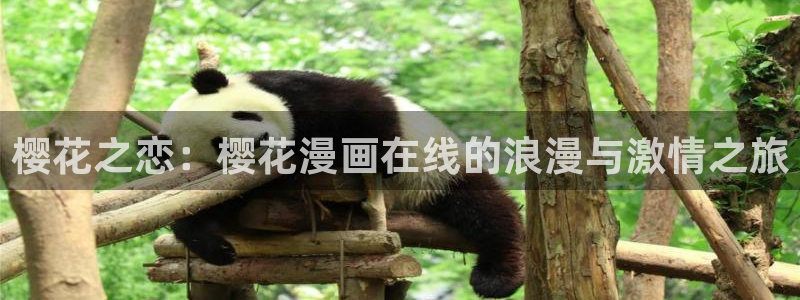 麻豆电影在线观看电视剧最新章节