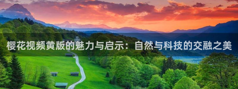 麻豆电影网站