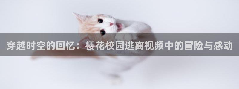 麻豆电影怎么免费看电影