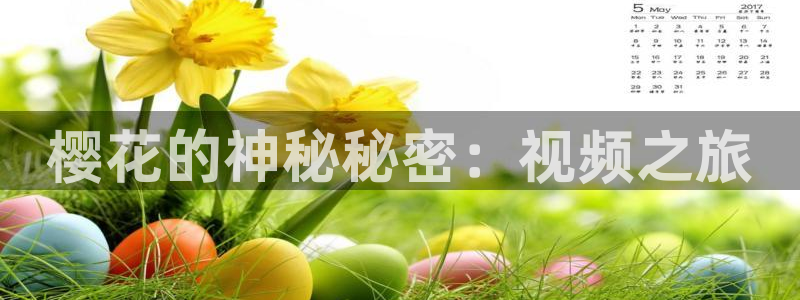 天美传奇星空高清免费