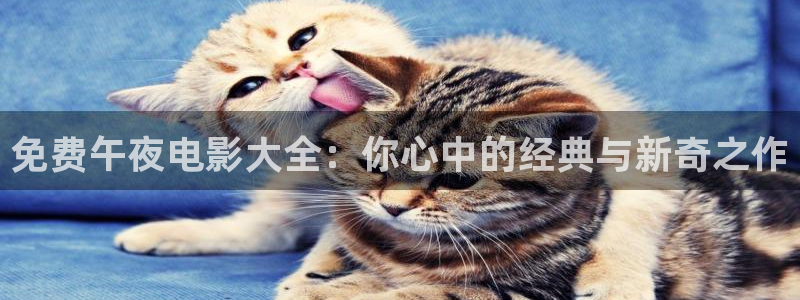 星空影视.中国