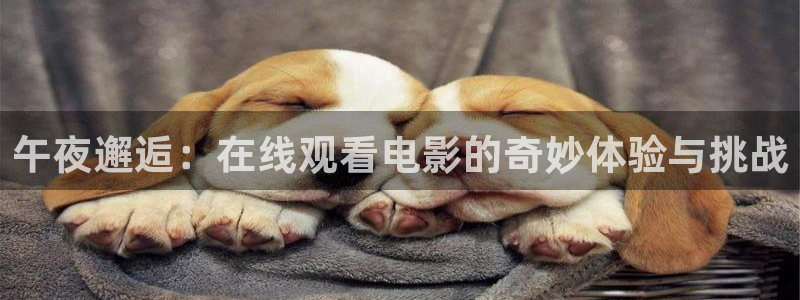 星空高清电影免费观看