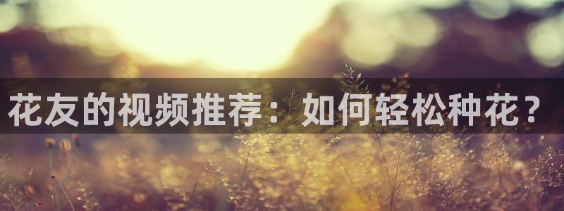 星空无限传媒免费观看