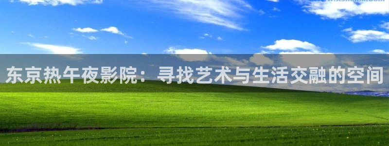 麻豆电影电视剧免费观看完整版高清在线