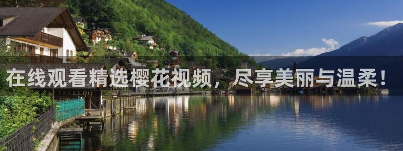麻豆电影网免费