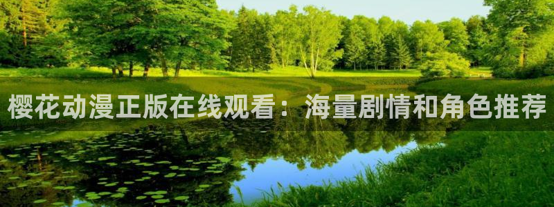 那片星空那片海哪里能看
