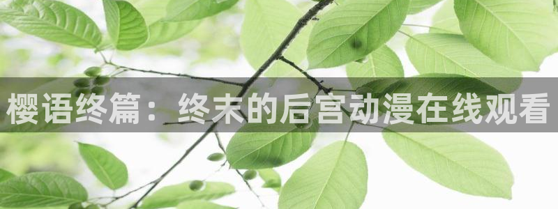 星空影视大全片库