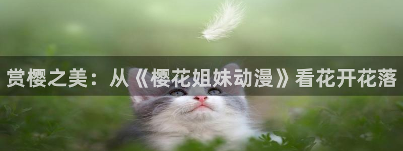 麻豆电影在线免费观看视频