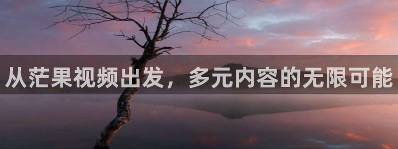 麻豆电影电视剧免费