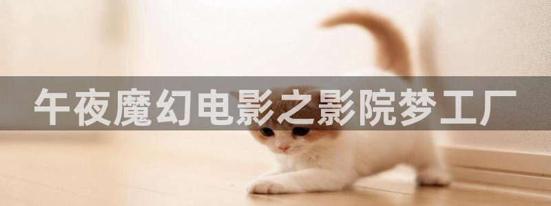 星空影视热播电视剧电影大全