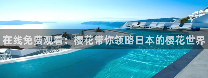 麻豆电影手机免费观看电影在线播放