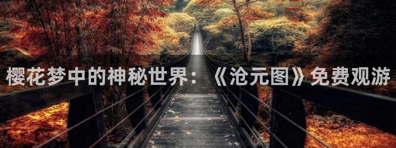 四川星空影视基地