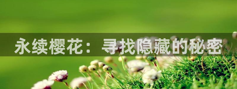 星空影视安全吗