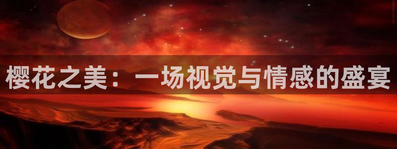 星空播剧