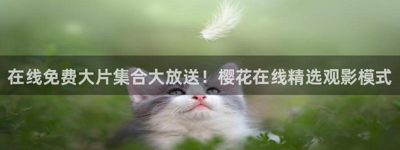 麻豆电影在线观看免费观看电影