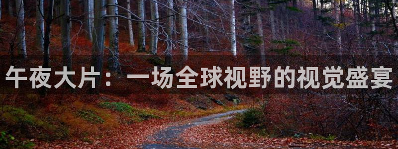 星空无限传媒免费观看高清