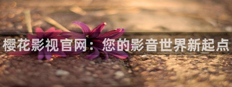 麻豆电影2