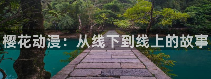 麻豆电影免费观看电影电视剧下载
