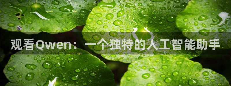 星空视频mv