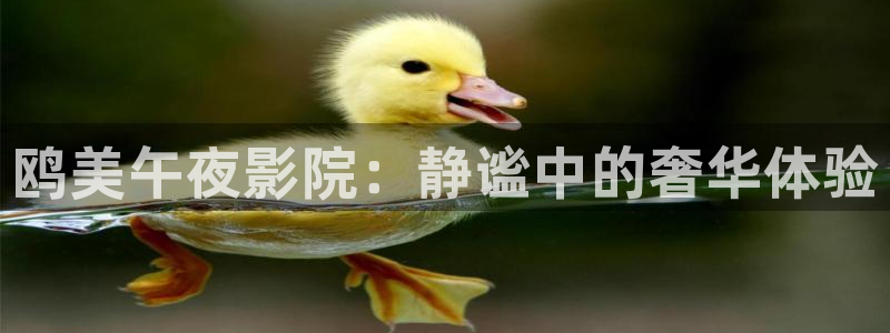 麻豆电影免费看电视剧