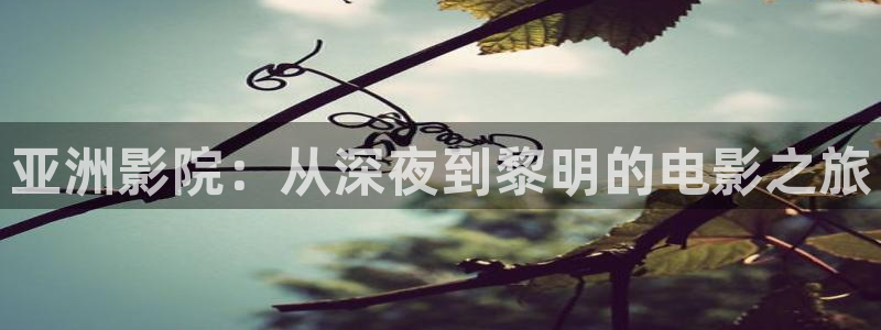 星空影视在线观看入口