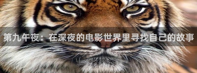 新麻豆电影