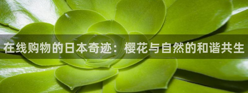 星空影视影视大全